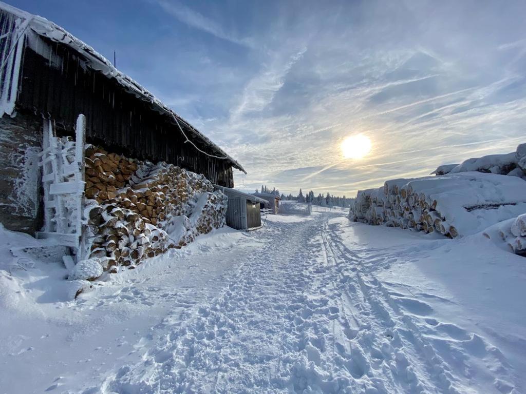 Sw Apartamenty Czarna Gora Sienna  Bagian luar foto